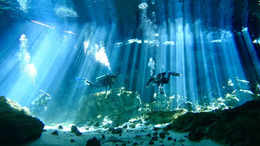 World’s most captivating underwater attractions