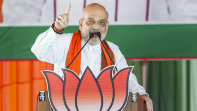 'Mamata Banerjee can't dare to touch CAA', Amit Shah says in Bengal rally