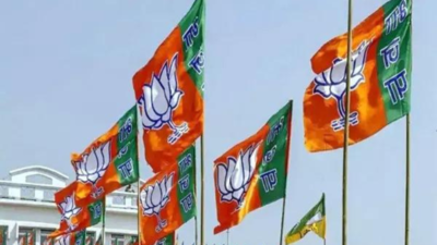 BJP candidates rely on the name of PM Modi, people recall their promises