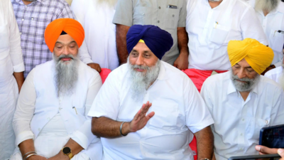 Missing from poll talk, Shiromani Akali Dal rakes up sacrilege this time