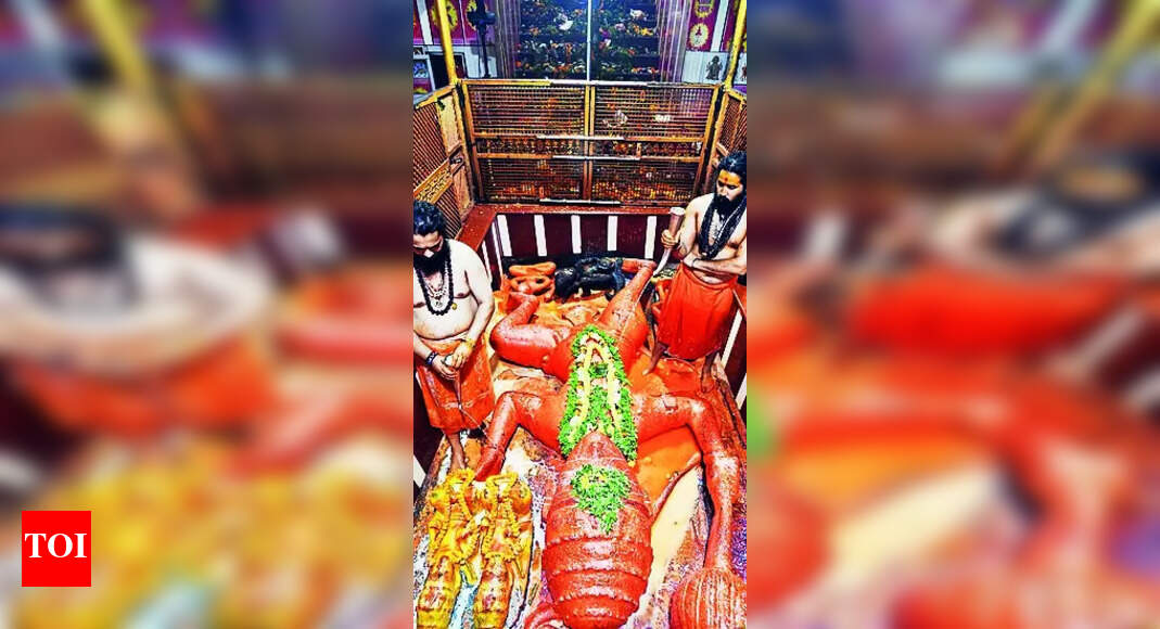 Hanuman Jayanti: Maha Abhishek, Bhandaras Mark Hanuman Jayanti Celebrations | Allahabad News - Vimarsana News