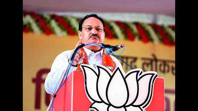 ‘India will become third largest economy in 2 years if BJP returns’