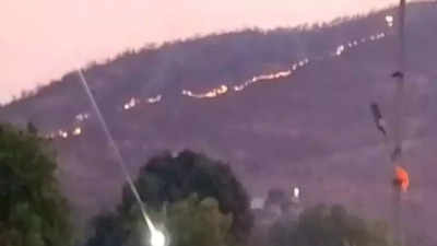 Wildfire breaks out in forest area in Andhra Pradesh's Nellore