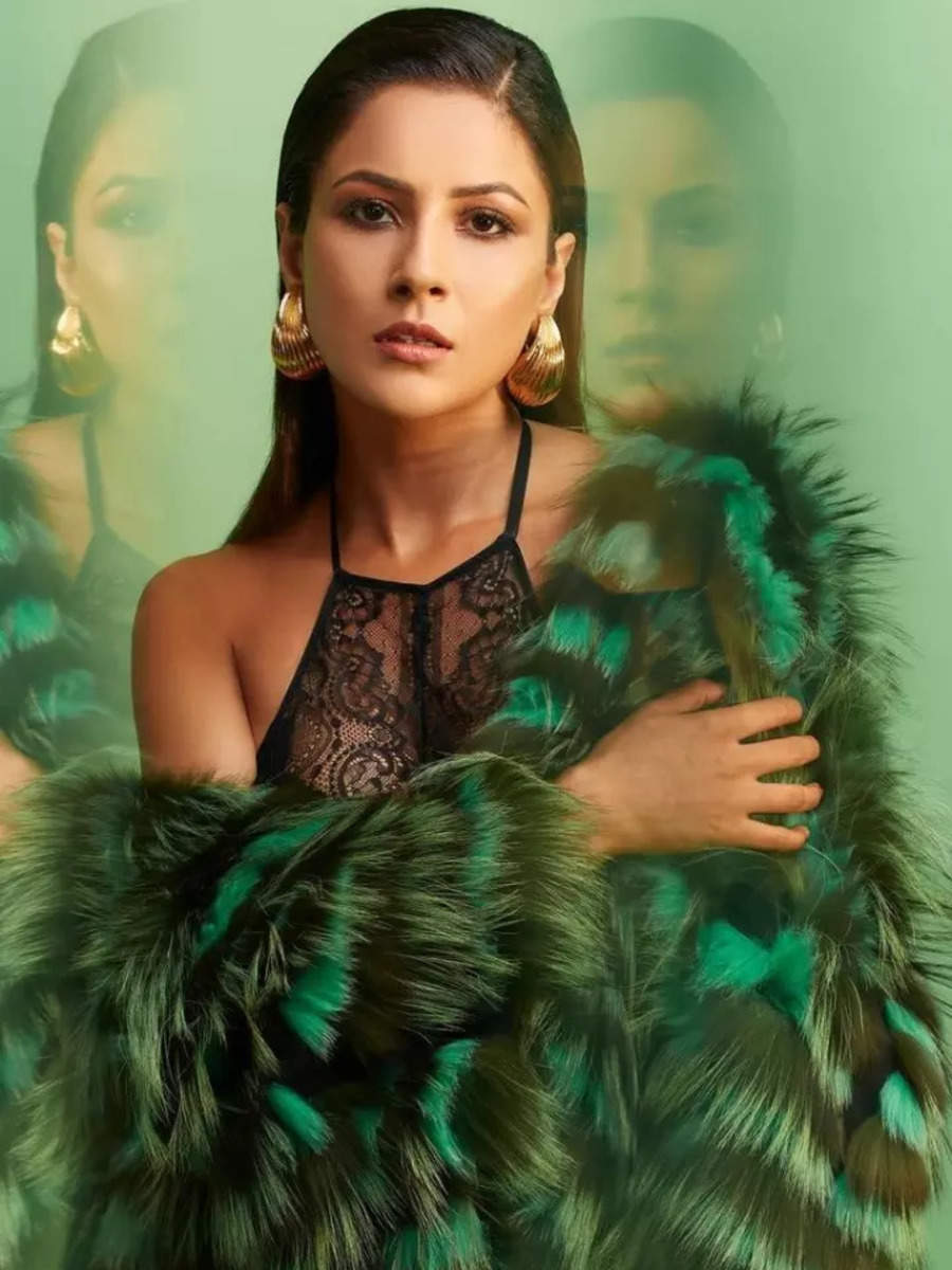 Shehnaaz Gill flaunts her fashion game superiority in exquisite fur ...