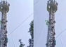 Tamil Nadu farmers climb towers, protest with 'human skulls' in Delhi