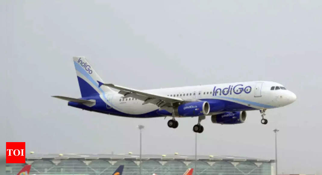 IndiGo announces in-flight entertainment on Delhi-Goa route for the first time; check features, trial details | India Business News – Times of India