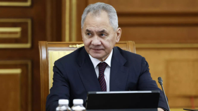 Russia detains ally of defence minister Shoigu for corruption