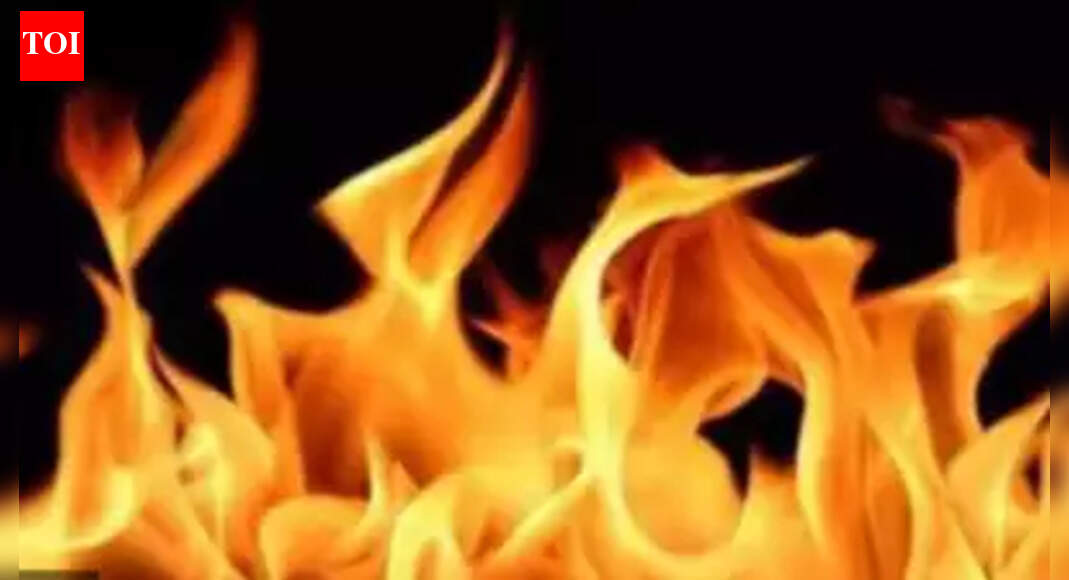 Minor fire at Delhi government school, no one injured | Delhi News ...