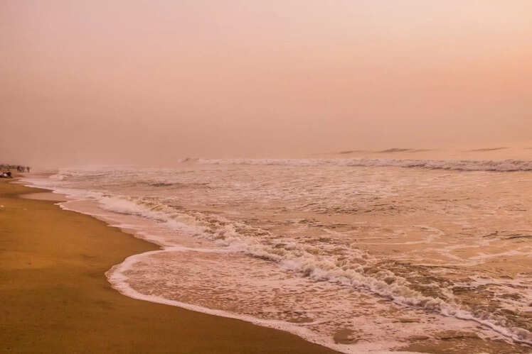 Elliot's Beach (Besant Nagar Beach)