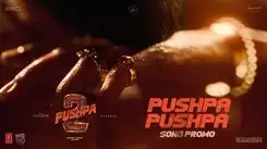 Pushpa 2: The Rule | Song Promo - Pushpa Pushpa