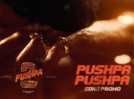 'Pushpa 2: The Rule' first single teaser promo out now!