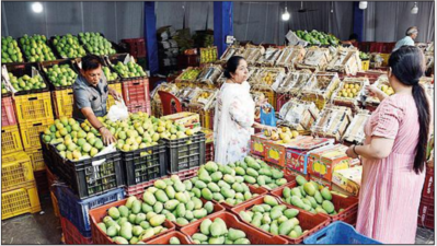 Mangoes grown in south Gujarat hit sweet spot for US palates