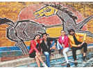 ‘Ahmedabad’s wall art is an ode to nature, heritage’