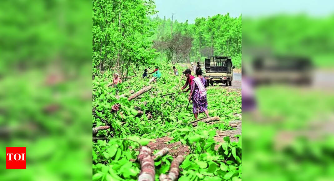 Forest Land: Centre Raps Govt For Diverting 44 Acres Forest Land | - Vimarsana News
