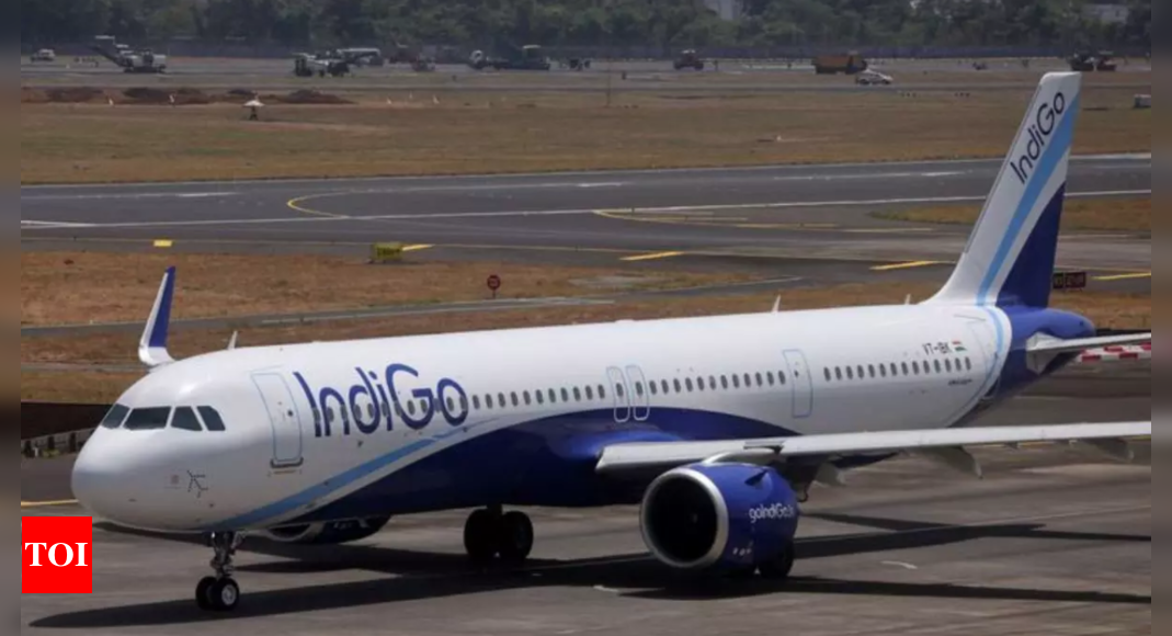 IndiGo orders 30 aircraft at $9.5 billion to fly long haul – Times of India