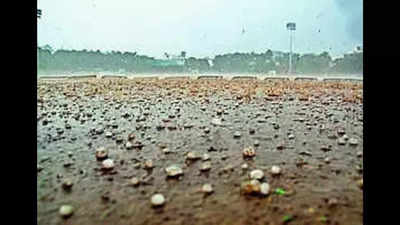 Hailstorms ruin Amravati orange crop on 40,000ha
