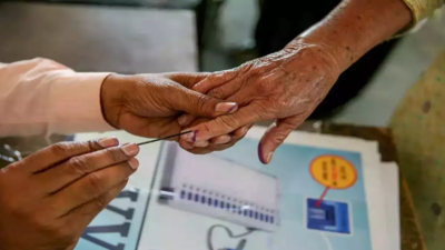 Tripura East registers 36.79 pc voter turnout till 11 am