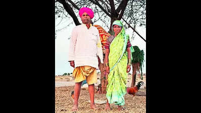 As Nazare dam dries up & fodder gets scarce, Dhangar voters leave Purandar village