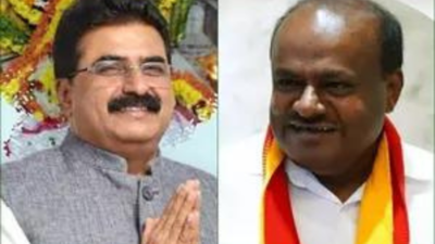 Venkataramane Gowda to Kumaraswamy: Richest candidates in 2nd phase of LS polls