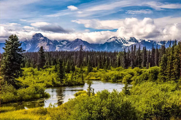 Hike through Alaska&rsquo;s Tongass National Forest