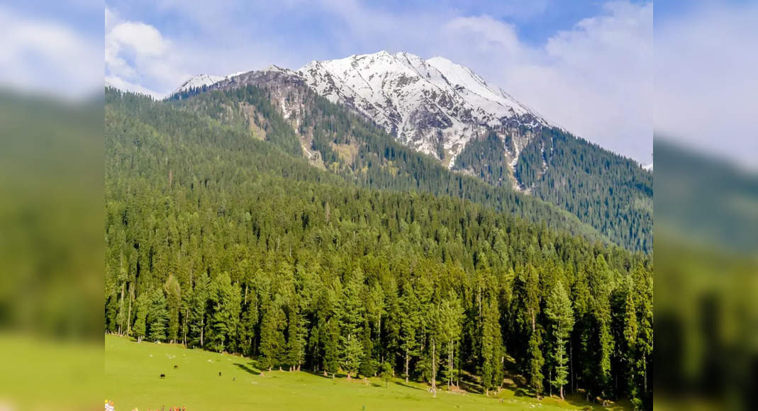 Exploring Yusmarg: A hidden gem of Kashmir, - TimesTravel