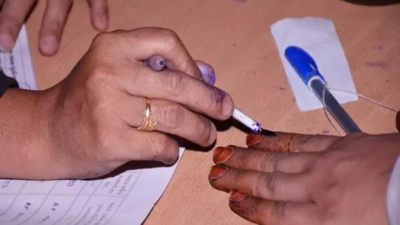 Chhattisgarh records 73% voter turnout in second phase of Lok Sabha poll