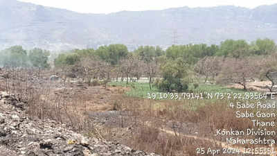 Thane mangroves are rapidly destroyed at Diva, activist sends urgent plaint to state