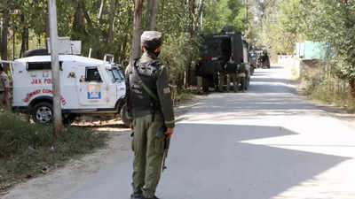 Two terrorists shot dead in overnight encounter in Jammu & Kashmir