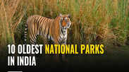 10 oldest national parks in India  
