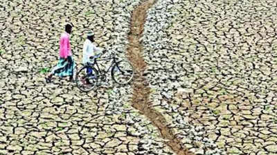 Water shortage looms for southern India as reservoir levels in 5 states reduce to 17% of capacity