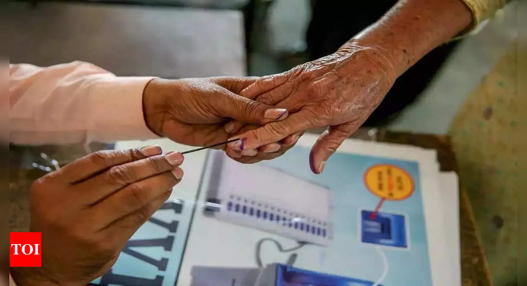 NRIs fly in, line up for love of vote | India News