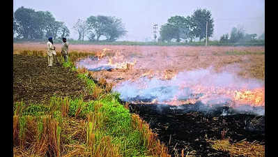 Fire dept on high alert to counter crop fire in Prayagraj