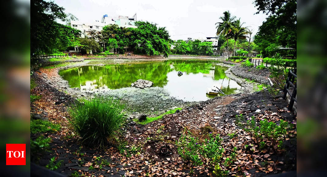 Lakaki Lake: Lakaki Lake In Model Colony Shrinks As Temp Soars ...