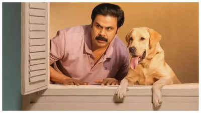 ‘Pavi Caretaker’ box office collections day 1: Dileep’s comedy-drama collects Rs 95 lakhs