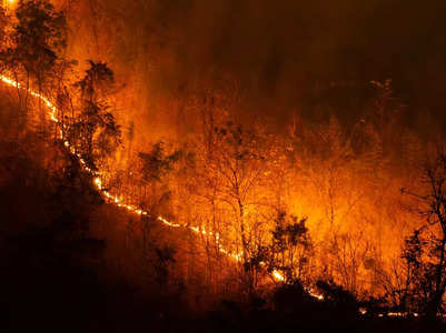 Uttarakhand: Forest fire in Nainital; Naini Lake boating halted