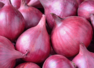 Centre allows export of 99,150 MT onion to six countries