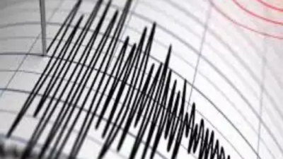 Earthquake of magnitude 6.5 jolts Japan's Bonin Islands, USGS says