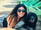 Kishwer Merchant expresses grief over losing her pet dog Frisky; says 'I can't explain how angry I am, u dint even give me a chance to say goodbye'