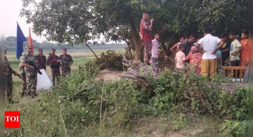 BSF helps daughter living in Bangladesh to bid last farewell to deceased father in India | Kolkata News - Vimarsana News