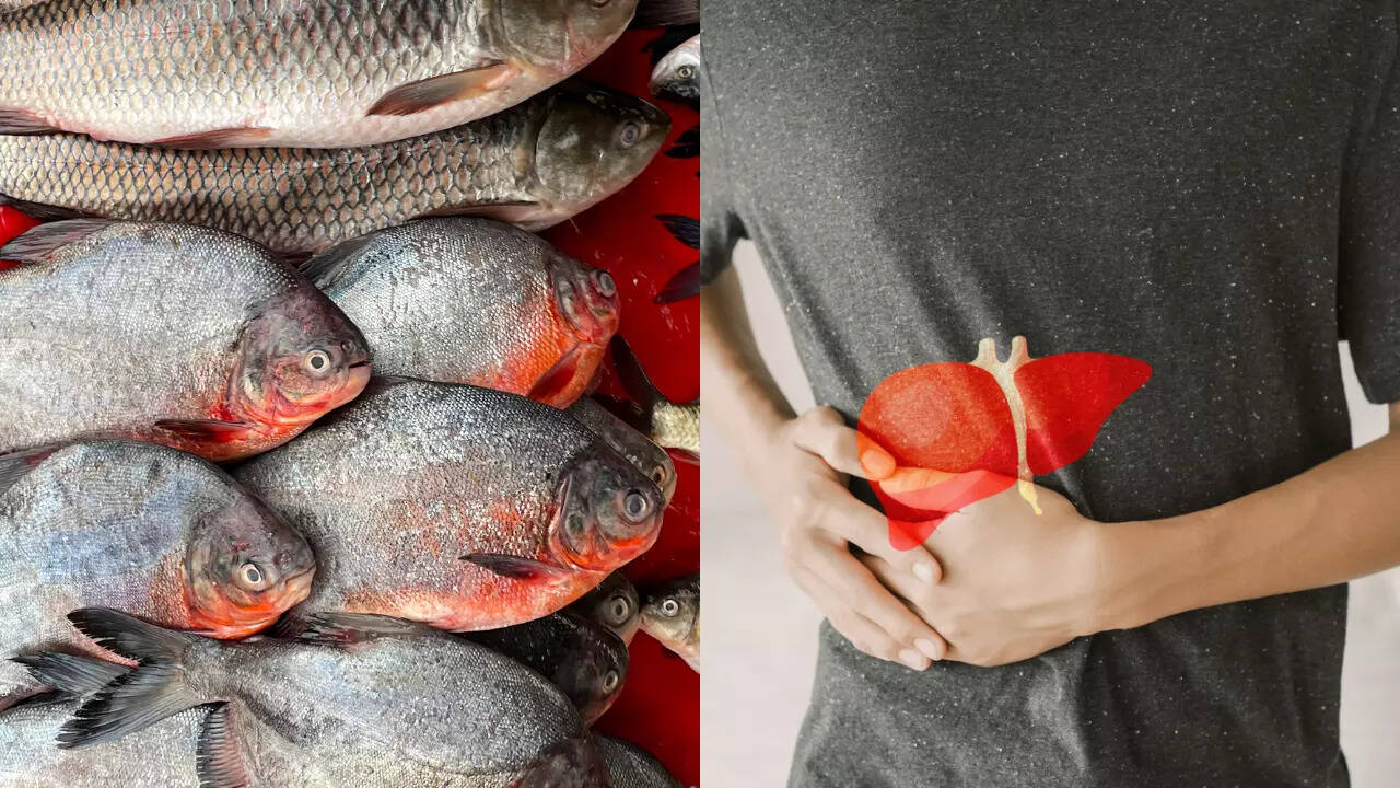Is Fried Fish Good For Your Liver - Infoupdate.org