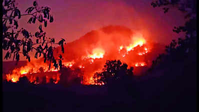Three poachers caught starting forest fire in Karlapat sanctuary