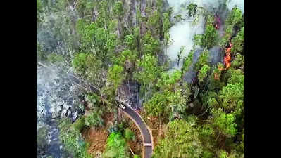 Forest fires break out in Kodaikanal hills