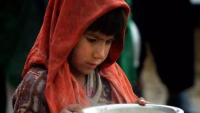 WFP providing food and cash assistance to 6 million people in Afghanistan amid humanitarian crisis