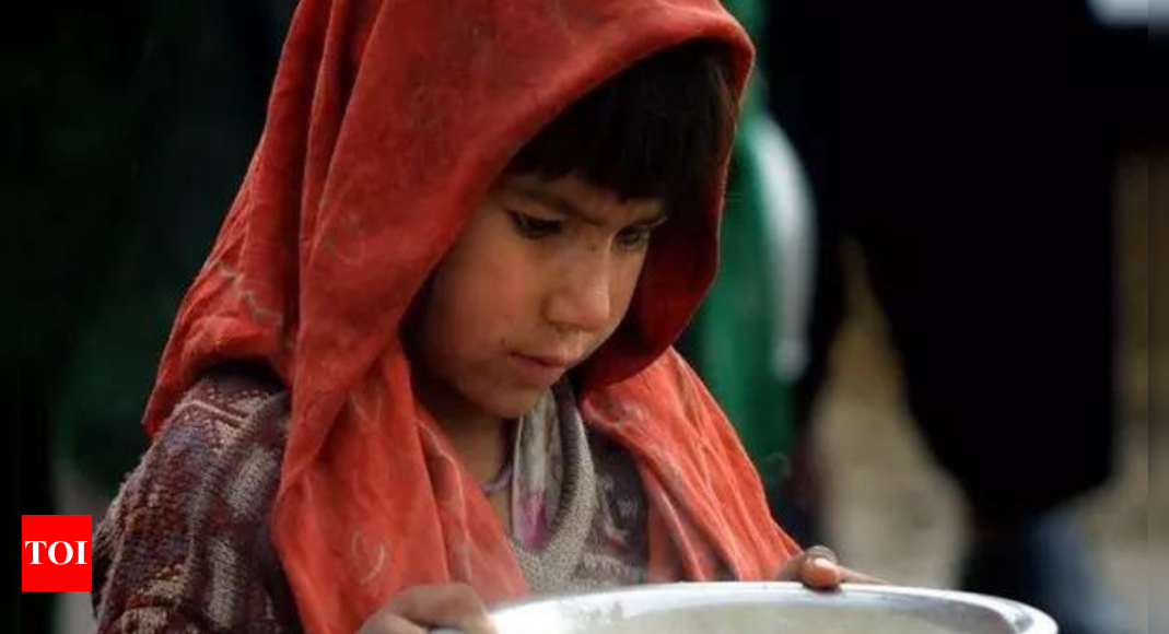 WFP providing food and cash assistance to 6 million people in Afghanistan amid humanitarian crisis – Times of India