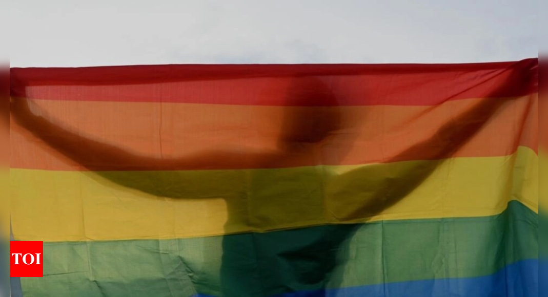 Passage of harsh anti-LGBTQ+ law in Iraq draws diplomatic backlash – Times of India