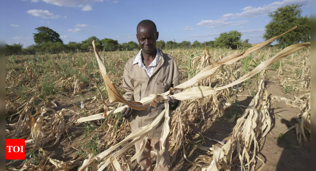 African farmers look to the past and the future to address climate ...