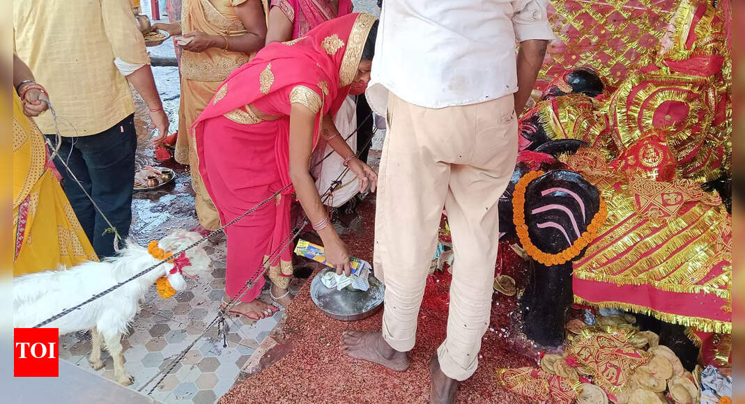 A temple in eastern UP where the faithful eat meat | India News - Times ...