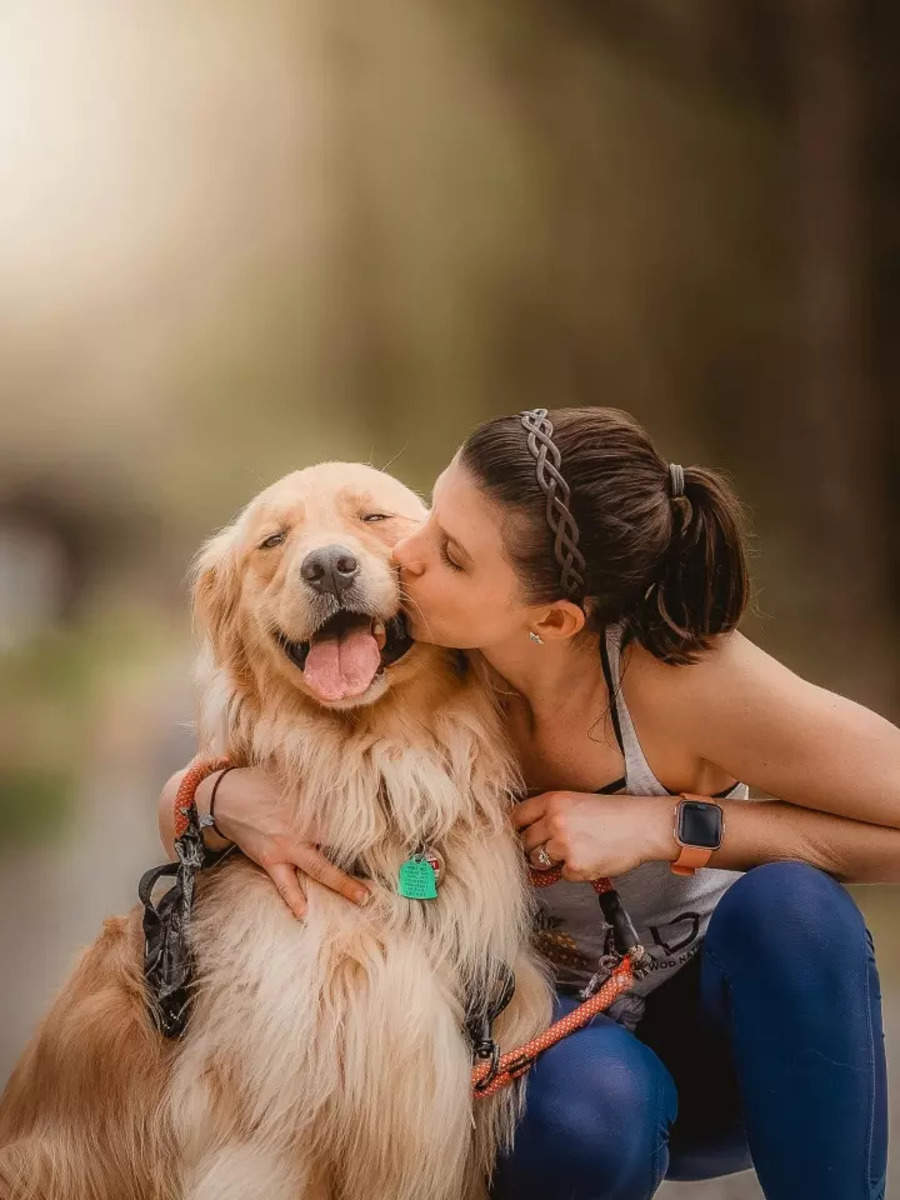 10 best dog breeds for families | Times of India