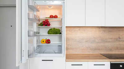 Best Convertible Refrigerators: Top Choices For Every Budget