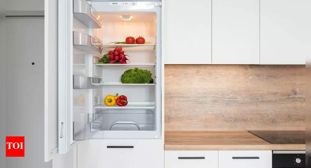 Best Convertible Refrigerators: Top Choices For Every Budget - Vimarsana News